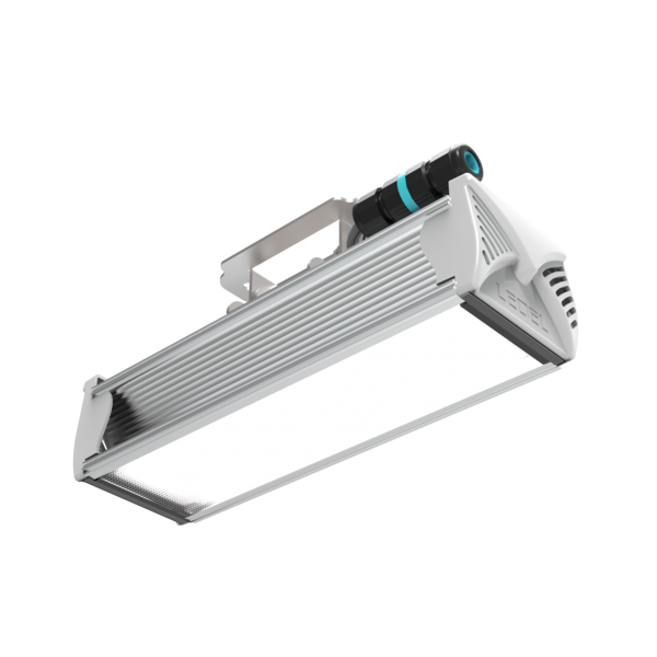 Светильник L-industry NEW 12/11/Г60/5.0K/01/IKII-50/220AC IP66 поворотное крепление LEDEL 504012